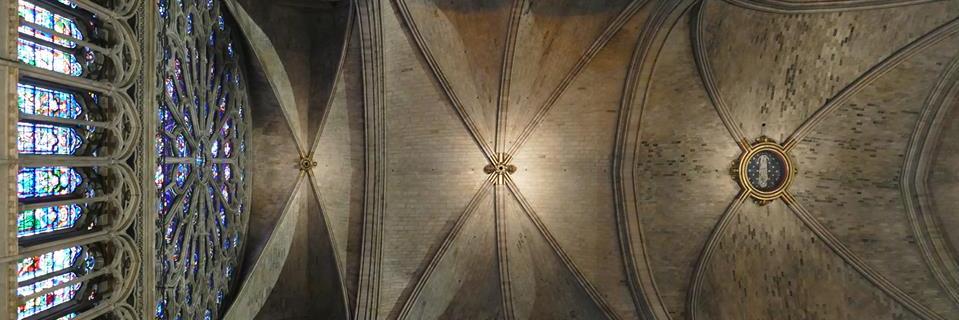 Scientifiques de Notre-Dame banner