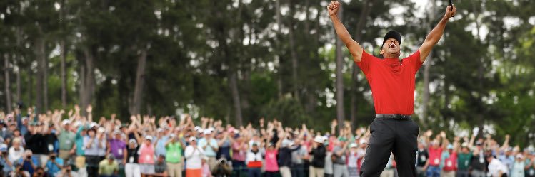 mtarzan21's profile banner image