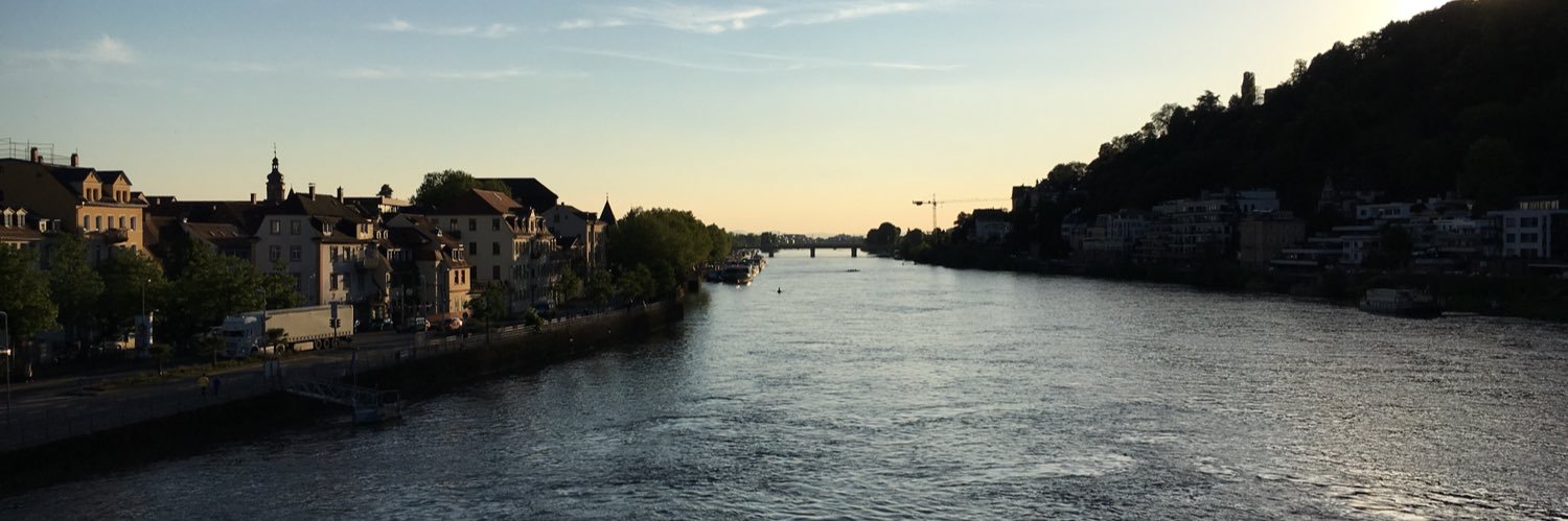 Lucas Maneschy banner