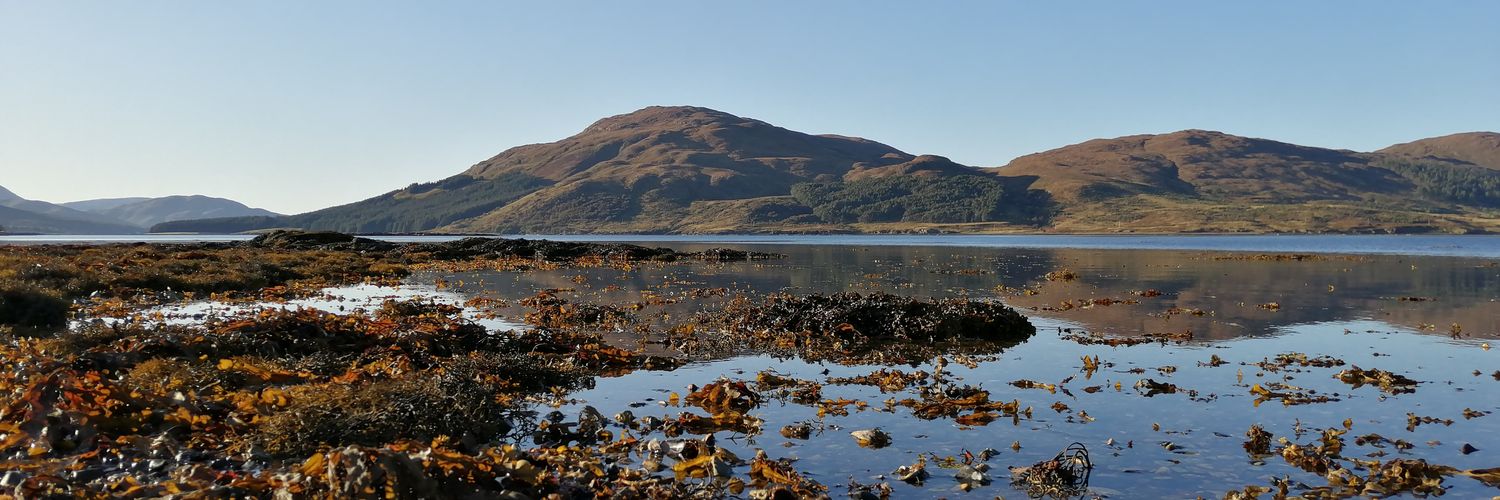 Barbara McLeod Montani 🏳️‍🌈🏴󠁧󠁢󠁳󠁣󠁴󠁿🇮🇹 banner