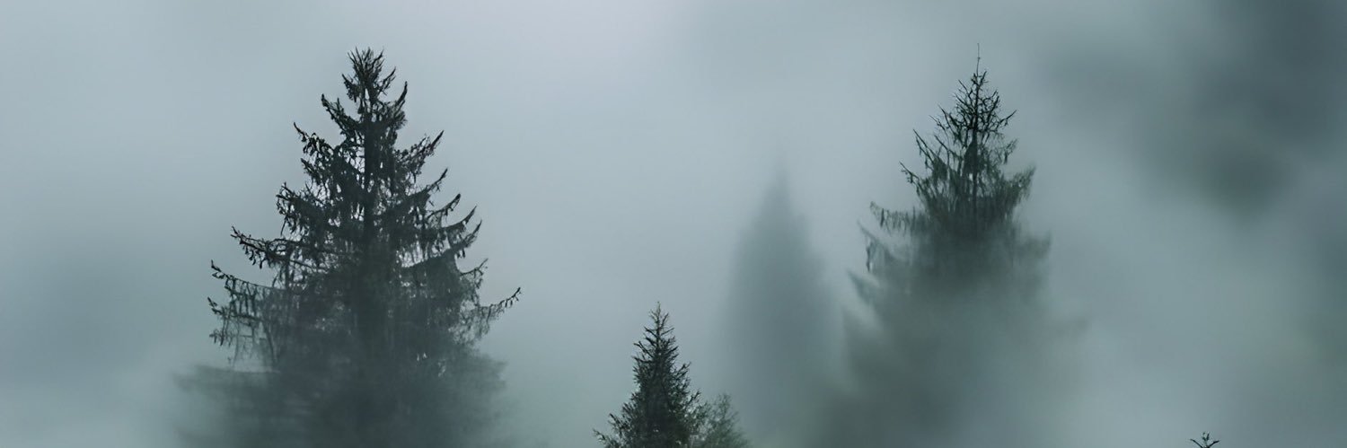 Ragnar_ banner