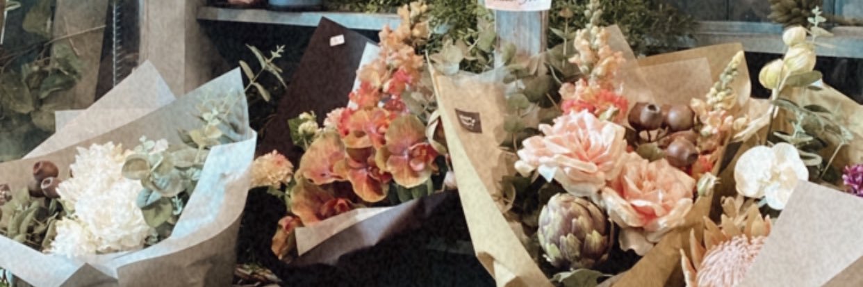 Shella William banner