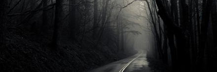 ViniciosChan's profile banner image