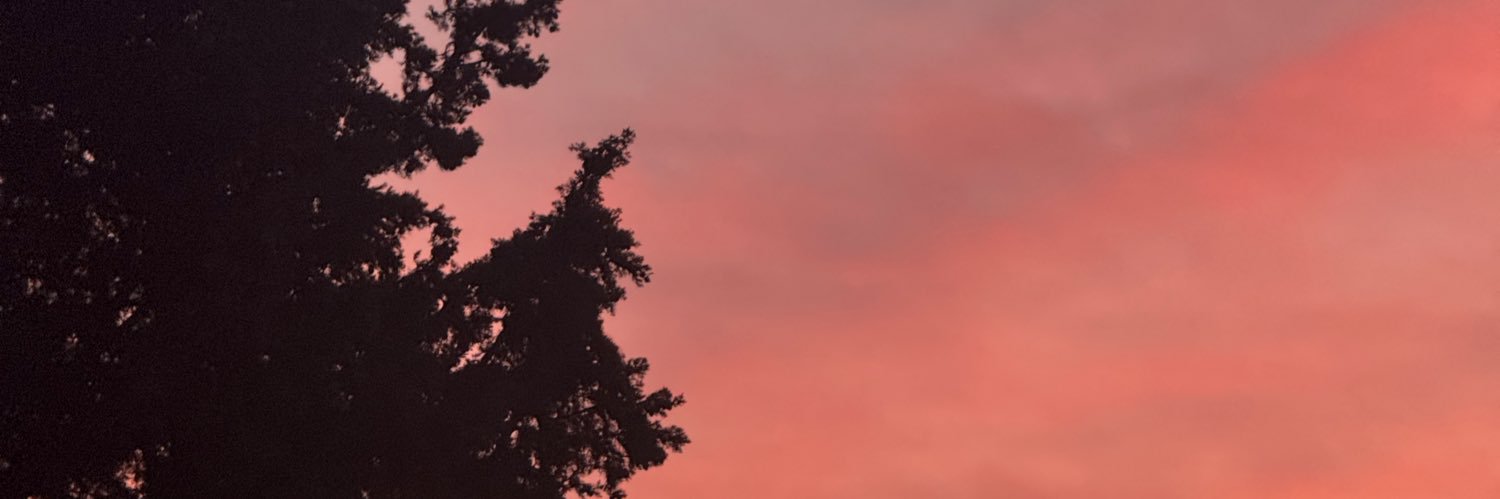 didyousaydaisy's profile banner image