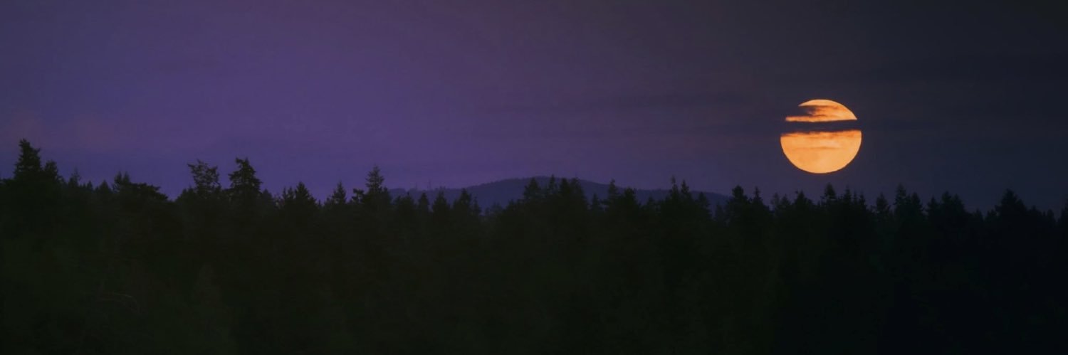 sanchxoo's profile banner image