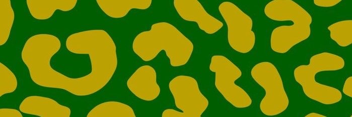 camillytorresx's profile banner image