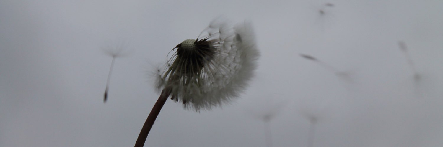 aristovan_'s profile banner image