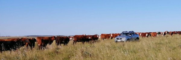GermanAPVet Profile Banner