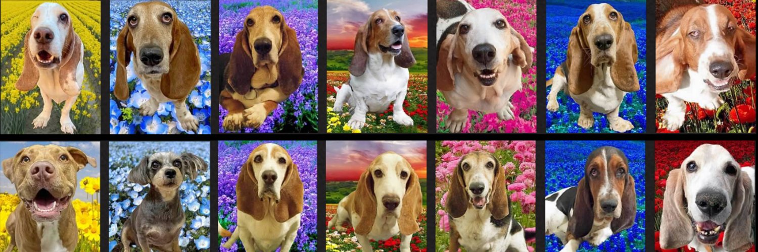 Simon 🇺🇸 banner