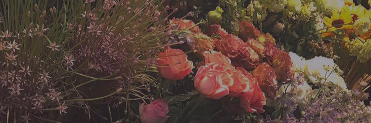 mrhz8's profile banner image