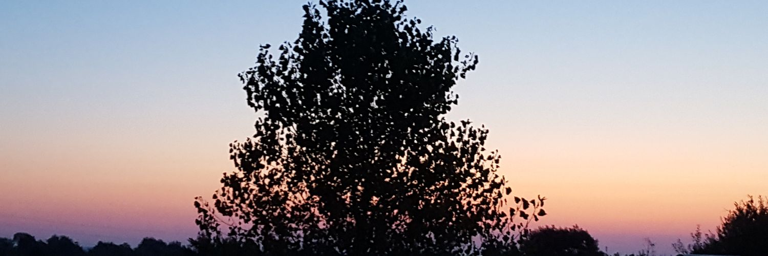 THEM7's profile banner image