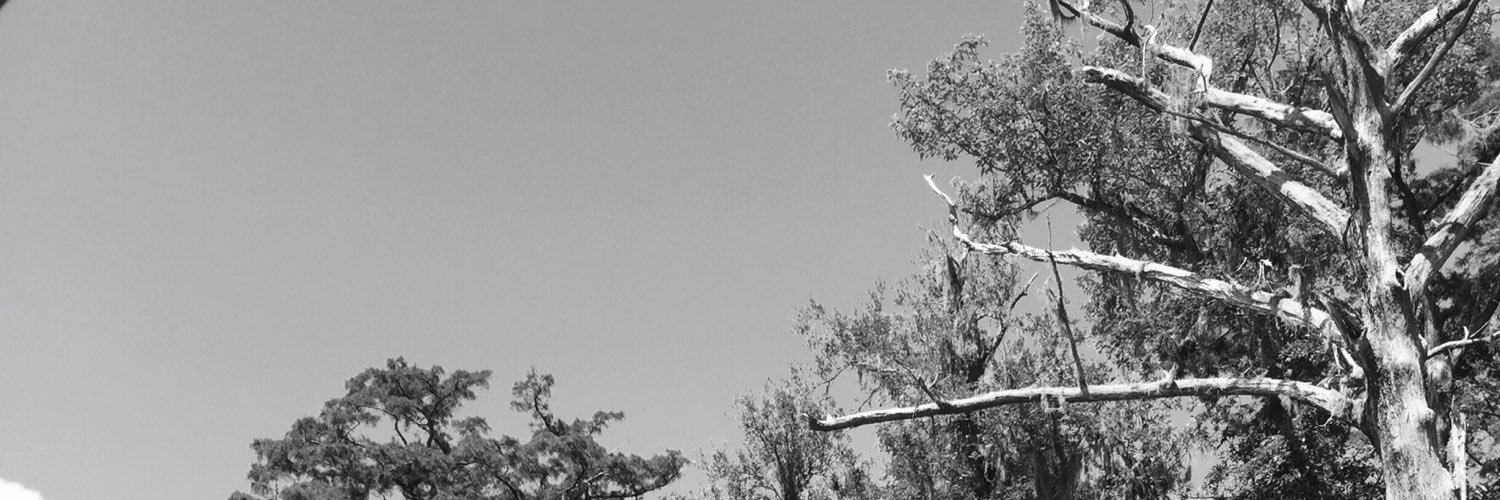 nikkimcdonell's profile banner image