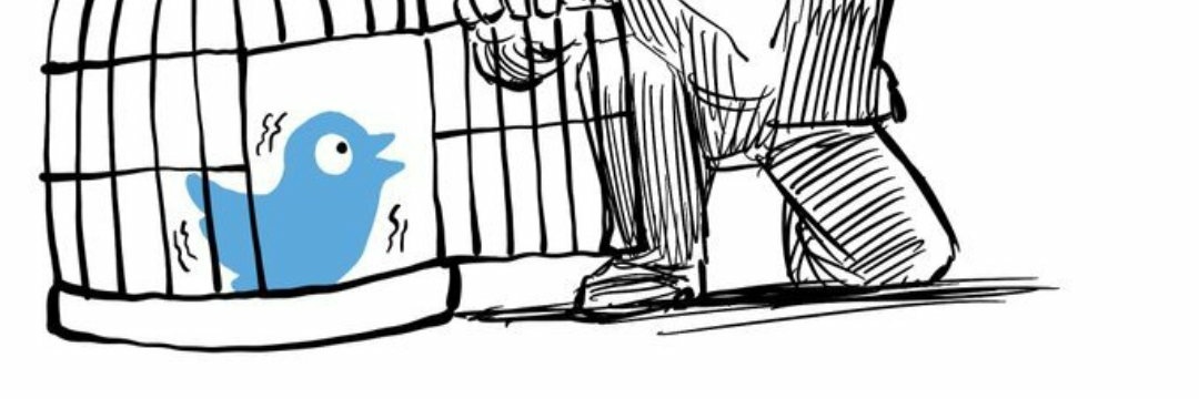 d_wanderer99's profile banner image