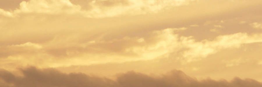 Dev banner
