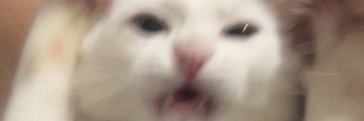 jrxlle7's profile banner image