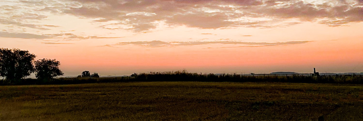 Tanner Ferguson banner