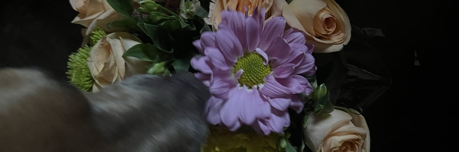 juucjj's profile banner image