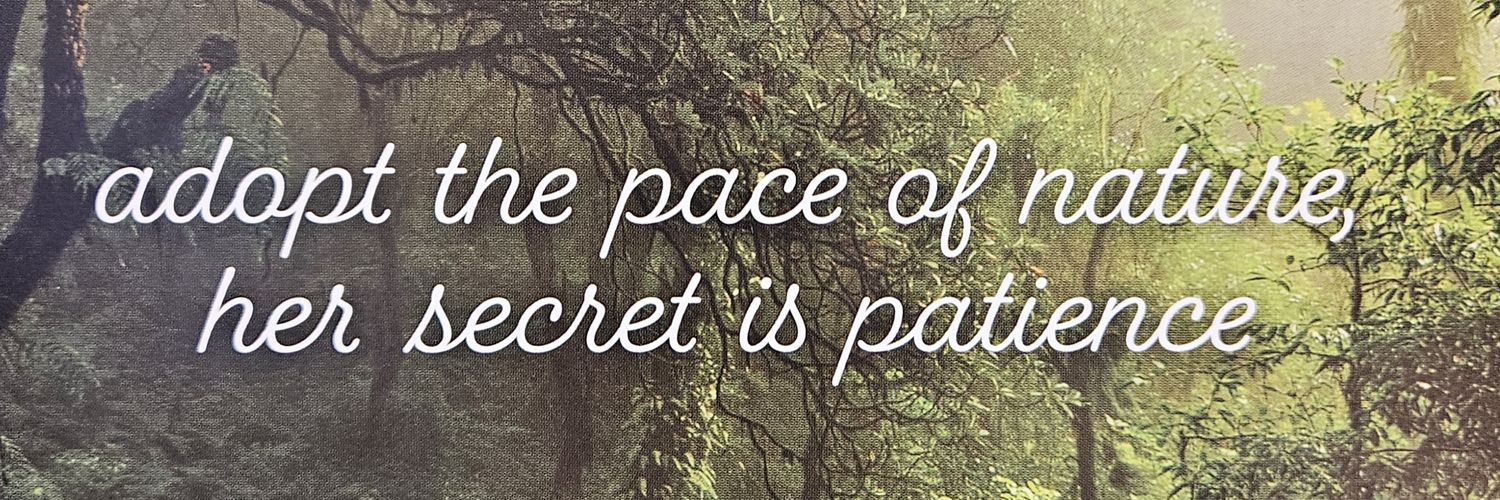 lqbatterson's profile banner image