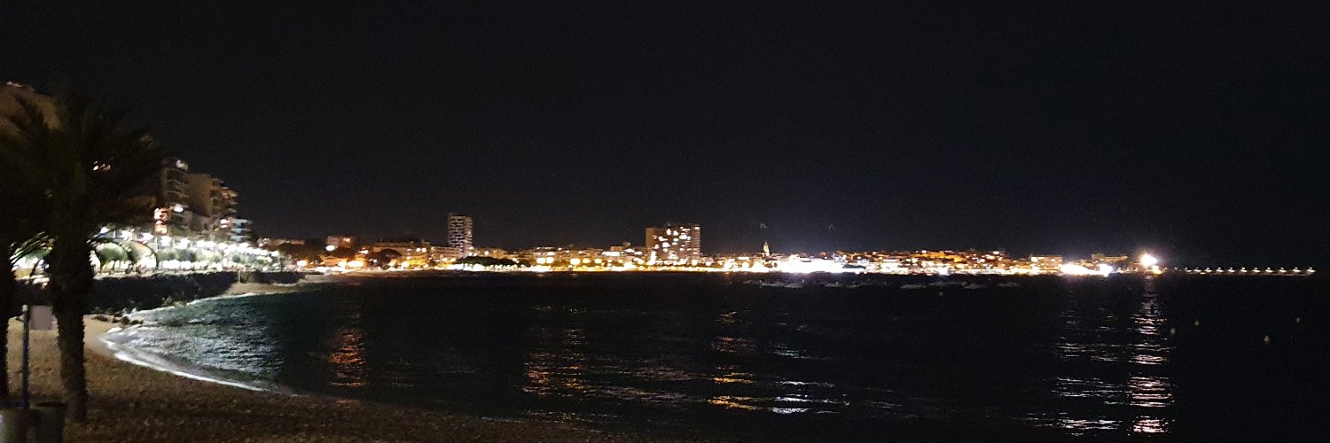 picassomeninas's profile banner image