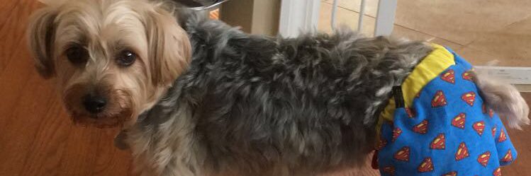 brockkel22's profile banner image
