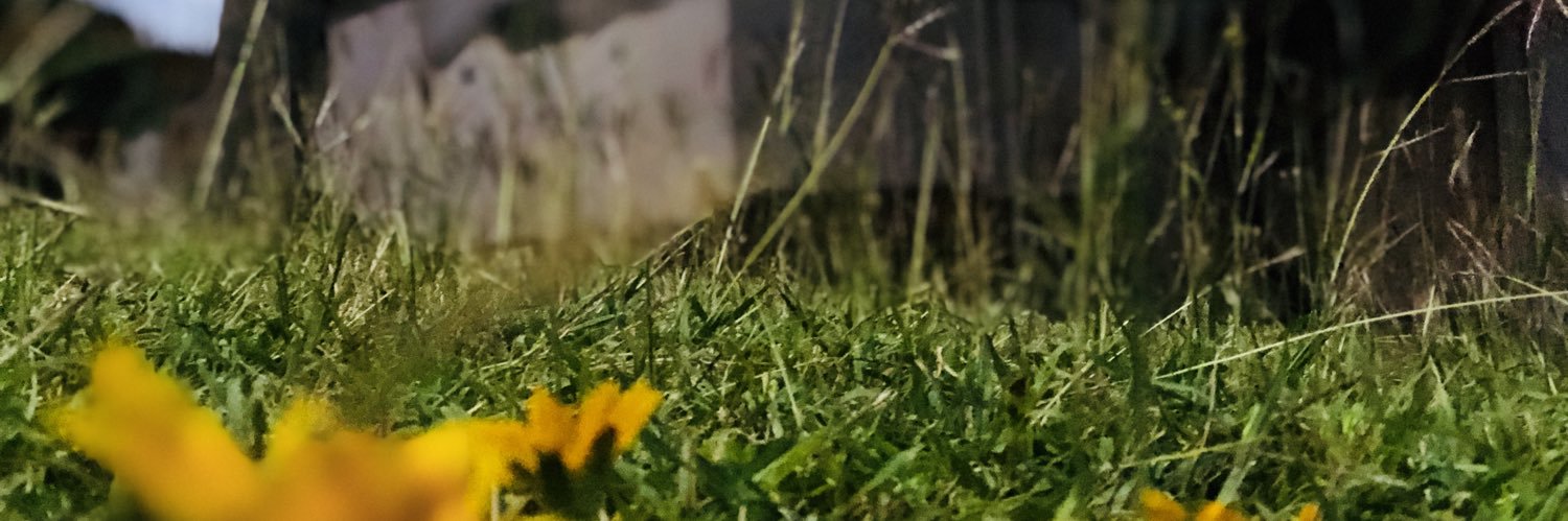 KelemeteSeto's profile banner image