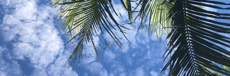 𝑩𝑹𝑲 banner