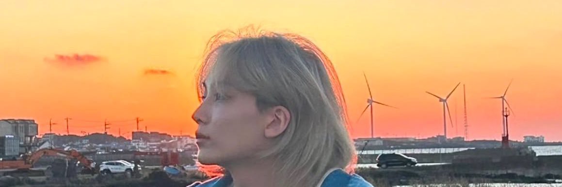 sincerely, a shuaphile banner