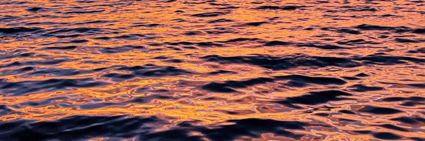 janaxr9_ Profile Banner