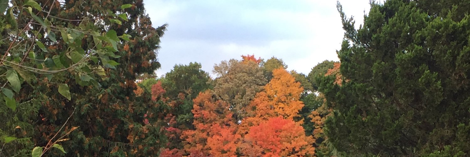 cmansfieldxo's profile banner image
