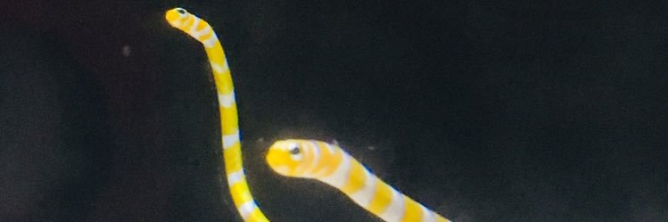kksk72's profile banner image