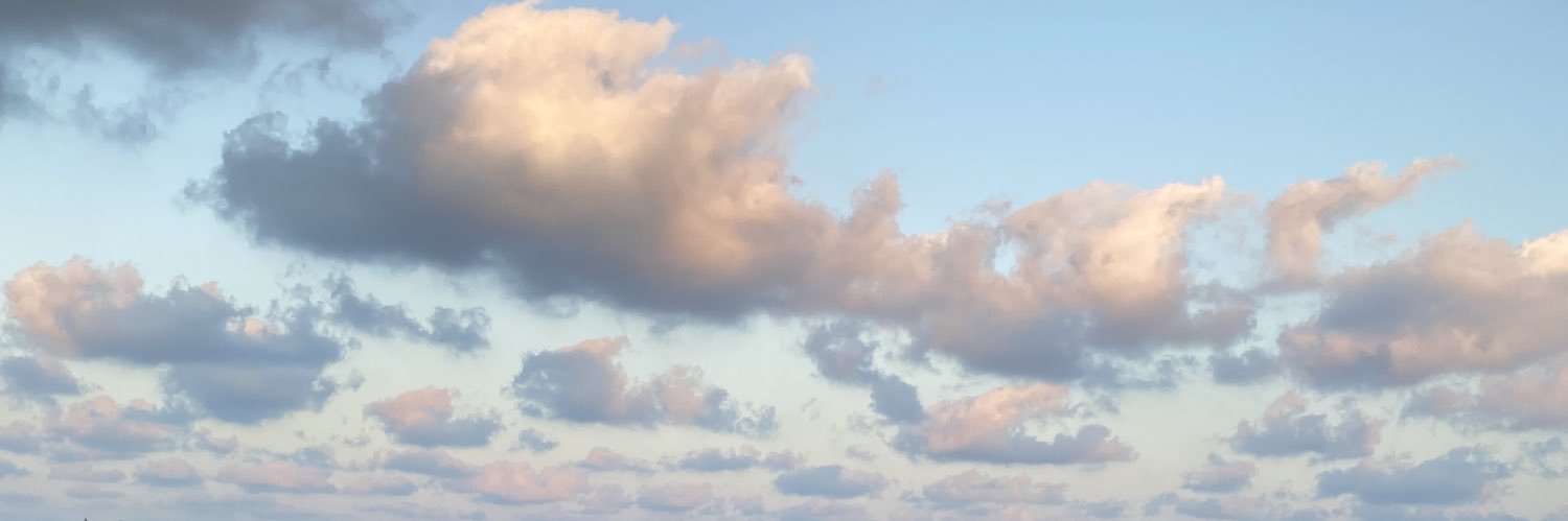 lunkrr's profile banner image