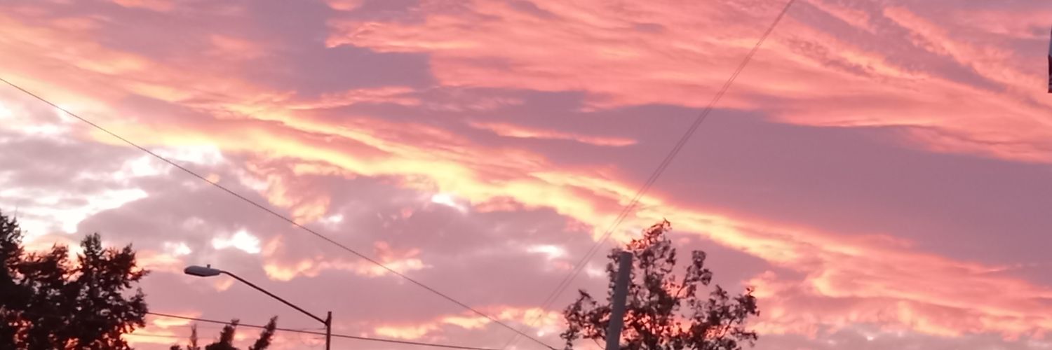 neko_maris's profile banner image