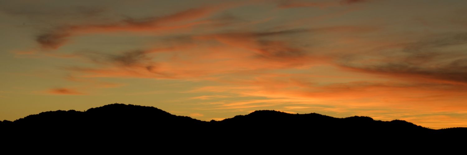 Javimogan banner