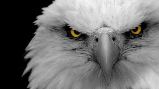 FeryanFer's profile banner image