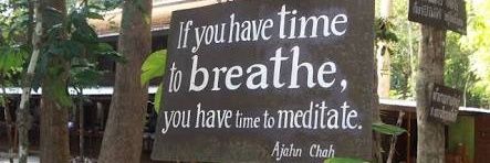 Buddhis Garis Lucu (centang biru) banner