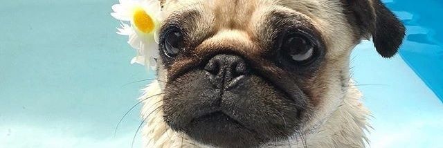 KRYTTWU's profile banner image