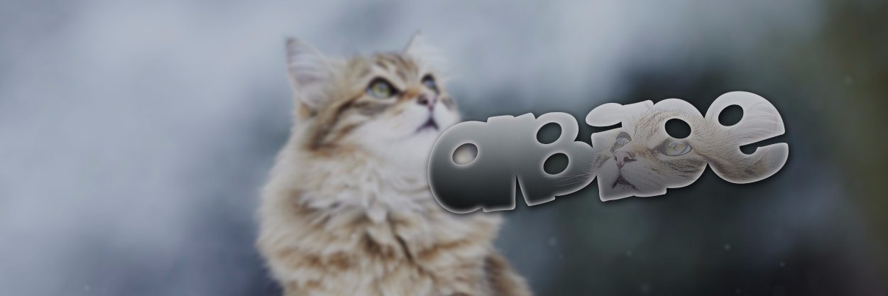 Abide banner