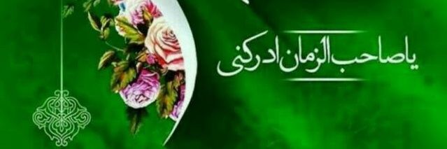 aamnalizadeh's profile banner image