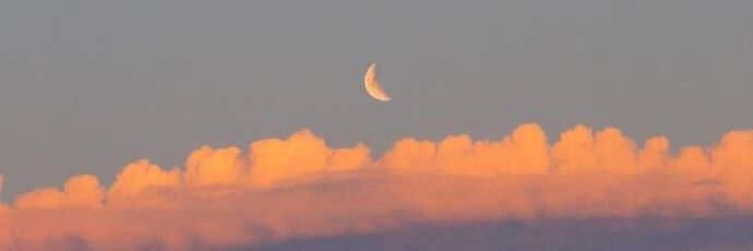 / banner
