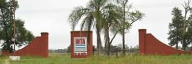 INTA EEA Las Breñas banner