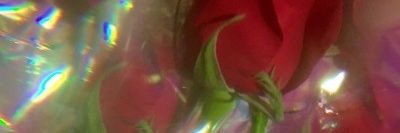 moonprinx's profile banner image