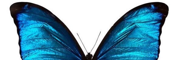 carordzd's profile banner image