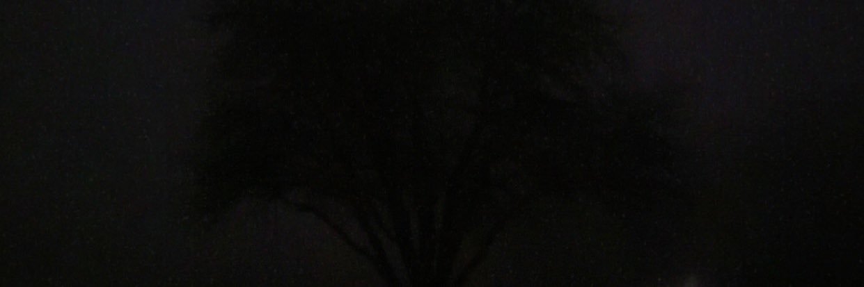 _LostFace_'s profile banner image