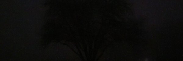 _LostFace_ Profile Banner