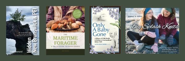 Boulder Books banner