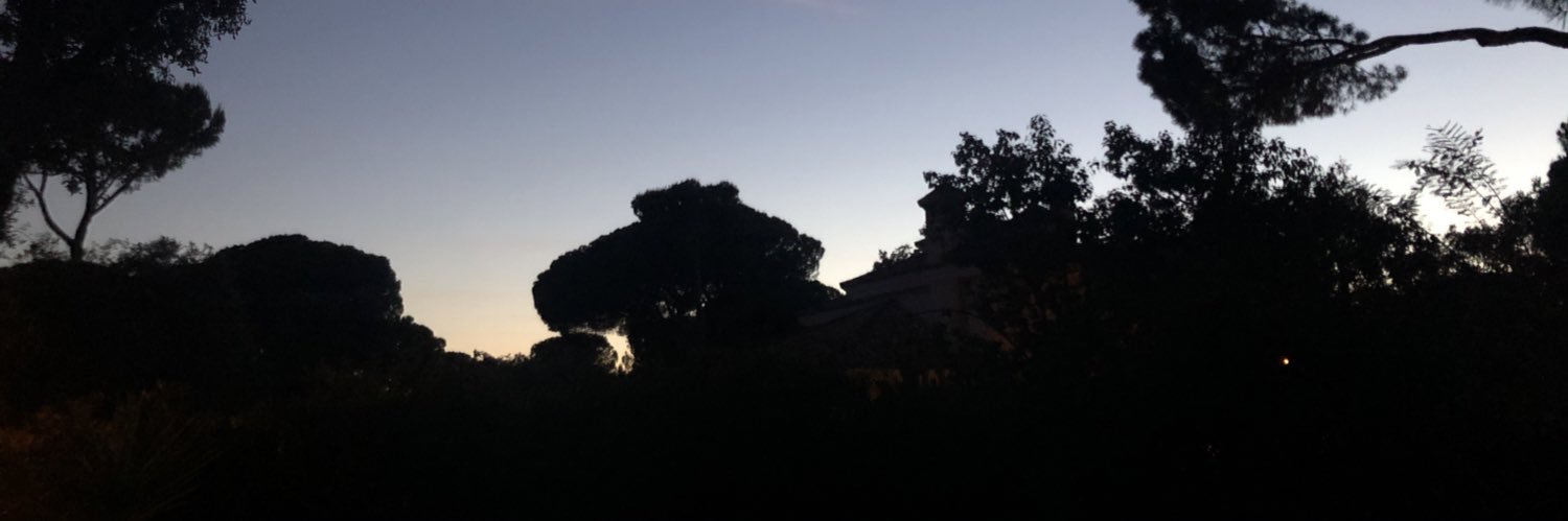 AlfonsoSede's profile banner image