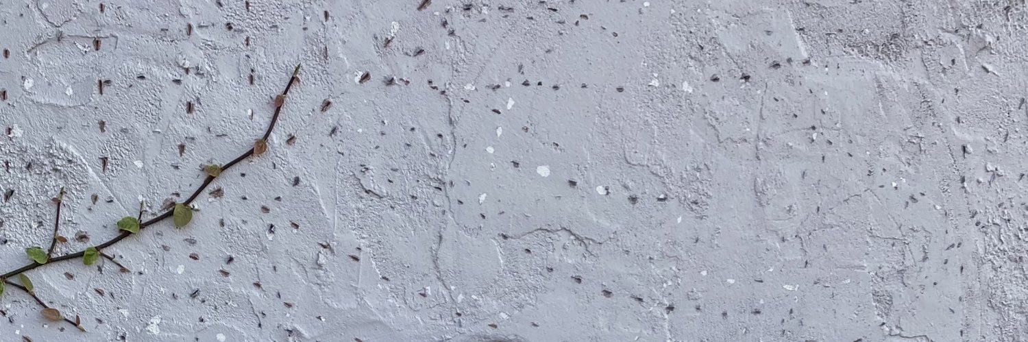 Yahaira Marie banner