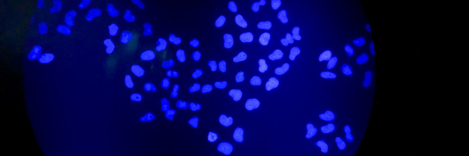 Nadeen Solaiman banner