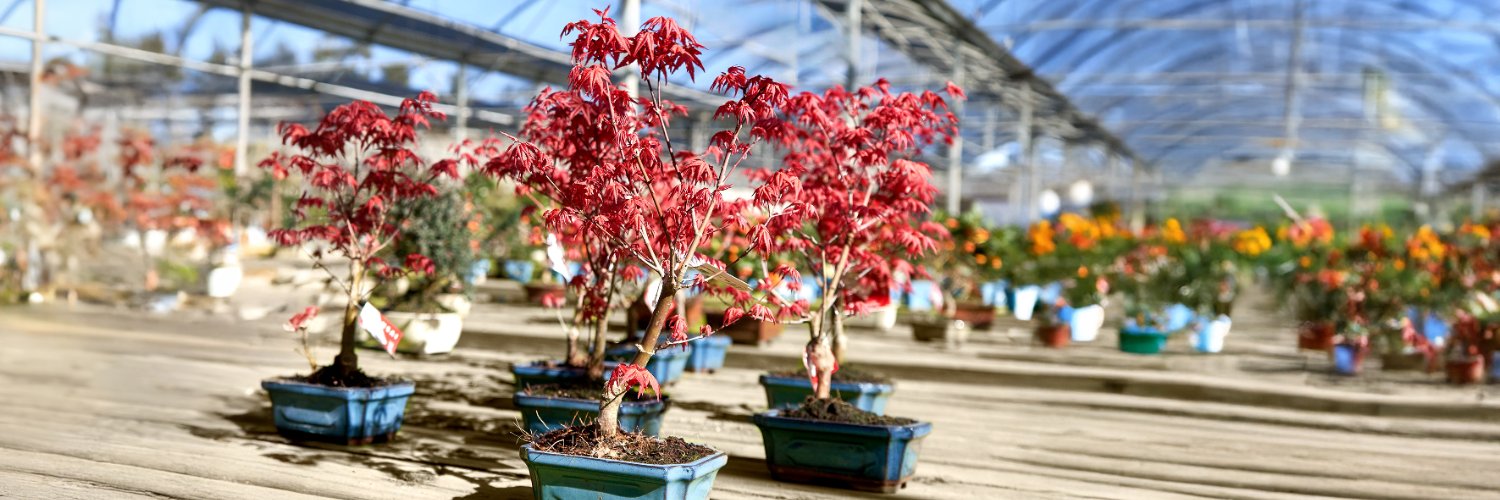 mistralbonsai's profile banner image