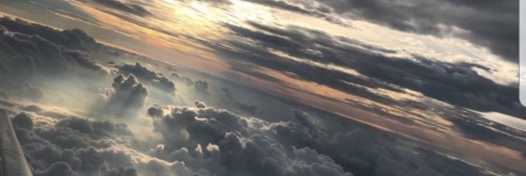 Lav banner